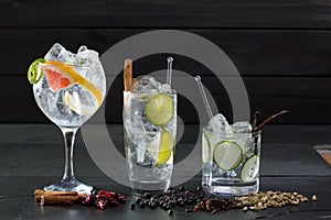 Gin tonic cocktails with lima cucumber and grapefruit