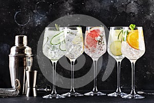 Gin and tonic cocktails set. Trendy Alcoholic drinks with lime, lemon, grapefruit, orange, cucumber, soda and spicy herbs in wine