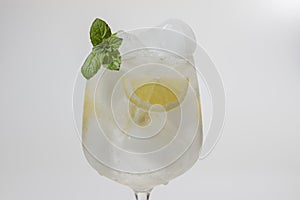 Tonica with gin, ice and mint photo