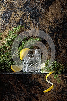 Gin , tonic with slices of lemon and a sprig of juniper .
