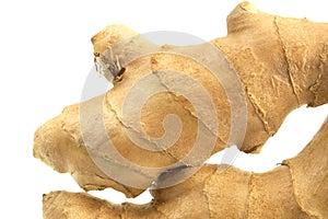 Ginger photo