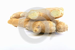 Ginger photo