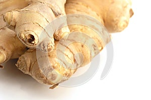 Ginger photo