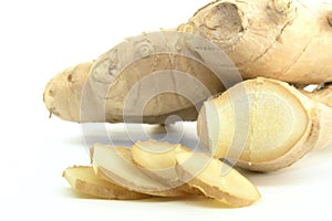 Ginger photo