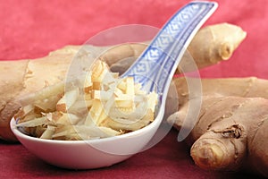 Ginger photo