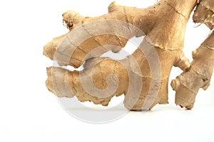 Ginger photo