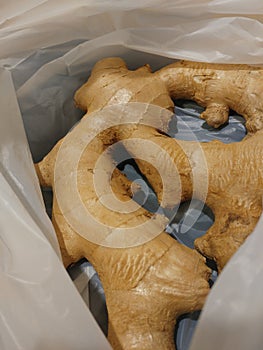 Ginger in bag