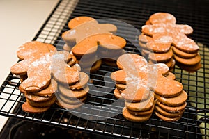 Ginger Bread Cookies