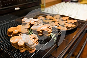 Ginger Bread Cookies