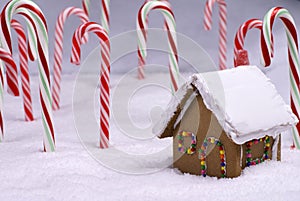 Ginger Bread Cottage in Candy Cane Forest