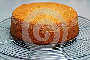 Ginger cake base