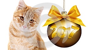 Ginger cat and golden christmas ball with gold satin ribbon bow
