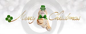 Ginger cat with golden merry christmas text with green clover, r