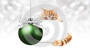 ginger cat and green christmas ball with gift greeting card, template copy space