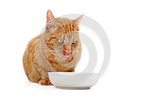 Ginger cat licking his face next to a food dish.