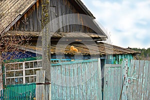 A ginger cat lies on the roof of an old rustic wooden house. The cat looks at the clouds in the sky.