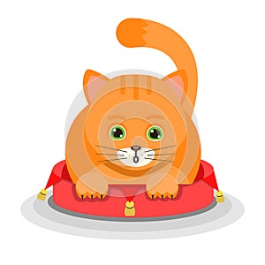 Ginger cat lying on a soft red pouffe isolated