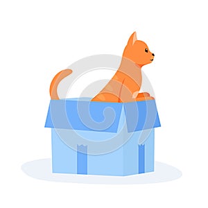 Ginger cat sits in box. Cute indoor pet plays in paper case. Hiding and resting place for fluffy fiend. Flat style photo