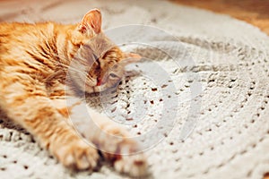 Ginger cat sleepng on couch in living room surrounded with cushions