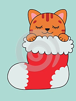 A ginger cat sleeps in a Christmas stocking. Christmas present. Christmas illustration.