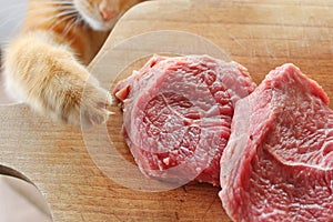 Ginger cat steals the raw meat