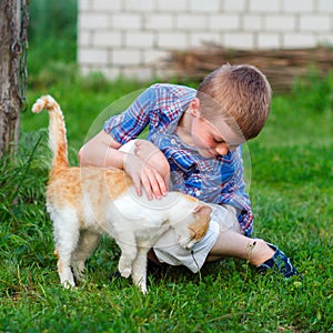 Ginger cat tenderly rubs against the foot of a little boy