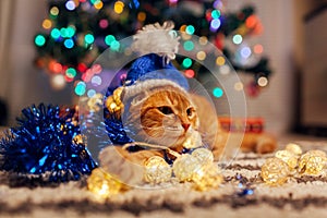 Ginger cat wears Santa`s hat under Christmas tree playing with lights and tinsel. Christmas and New year concept