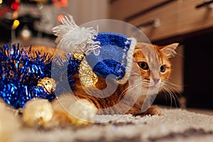 Ginger cat wears Santa`s hat under Christmas tree playing with lights and tinsel. Christmas and New year concept