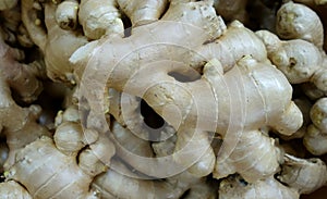 Ginger close up at the market