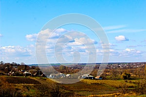 Ginger dog on a chain
