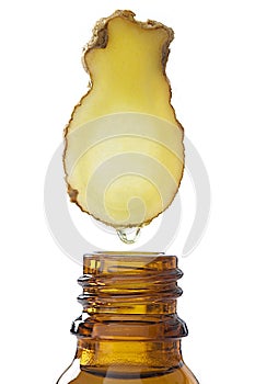 Ginger - Drop essential oil falls