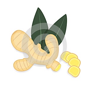 Ginger Flat illustration isolated on white background Sliced ginger root,leaves, packaging, healthy food, organic