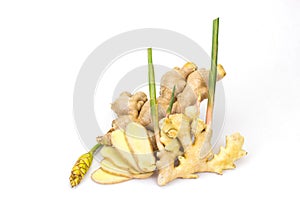 The ginger and ginger flower white background Ginger is an annual plant. With underground rhizomes The outer shell is yellowish