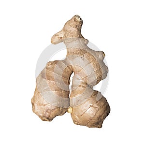 Ginger.Ginger root.