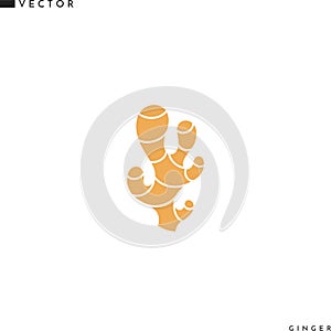 Ginger icon. Isolated ginger root on white background