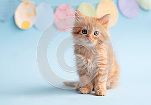 ginger kitten on the background of Easter decorations