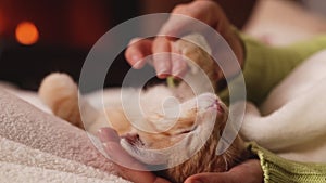 Ginger kitten enjoy caressing and relaxing at the fireplace