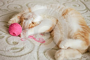 Ginger kitten plays with a pink ball of thread. Cat lying on the bed