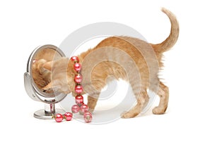 Ginger kitten with red beads looking into mirror