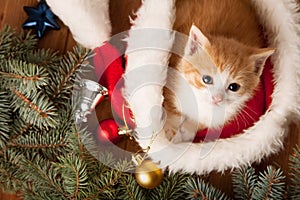 Ginger kitten in santa hat against the background of a Christmas
