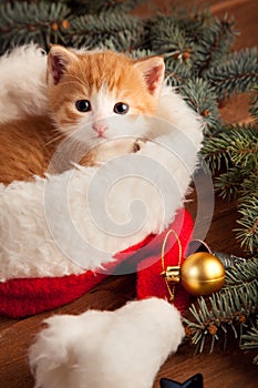 Ginger kitten in santa hat against the background of a Christmas