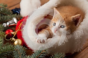 Ginger kitten in santa hat against the background of a Christmas