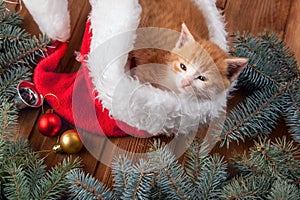 Ginger kitten in santa hat against the background of a Christmas