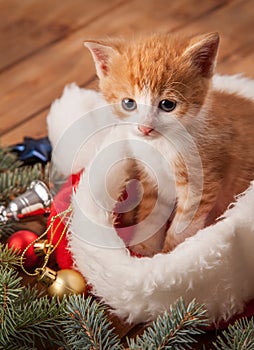 Ginger kitten in santa hat against the background of a Christmas