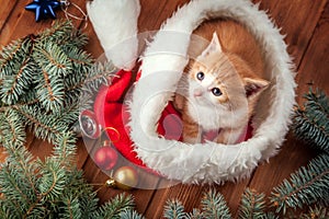 Ginger kitten in santa hat against the background of a Christmas