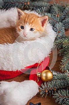 Ginger kitten in santa hat against the background of a Christmas