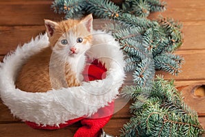 Ginger kitten in santa hat against the background of a Christmas