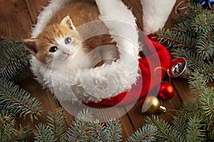 Ginger kitten in santa hat against the background of a Christmas tree