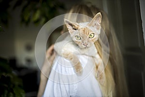 A ginger kitten sits in the arms of a girl, looks over her shoulder