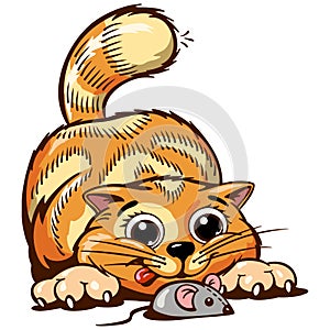Ginger kitten vector illustration